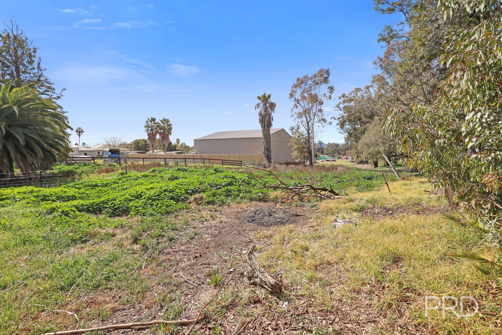 18 Church Street QUIRINDI 19