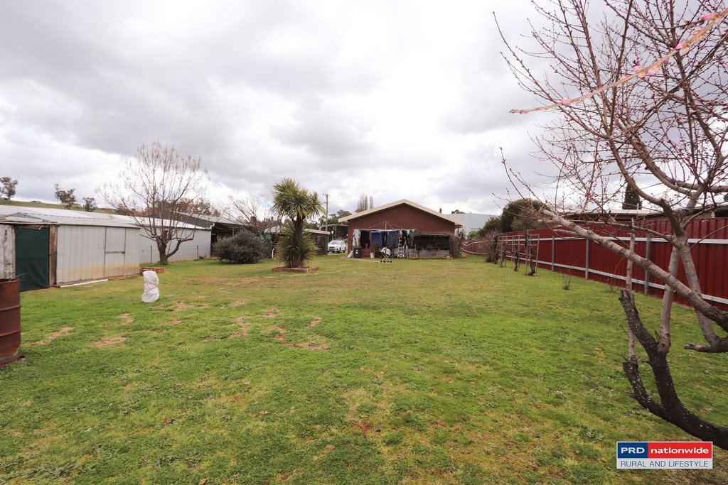 18 Clara Street TUMBARUMBA 10