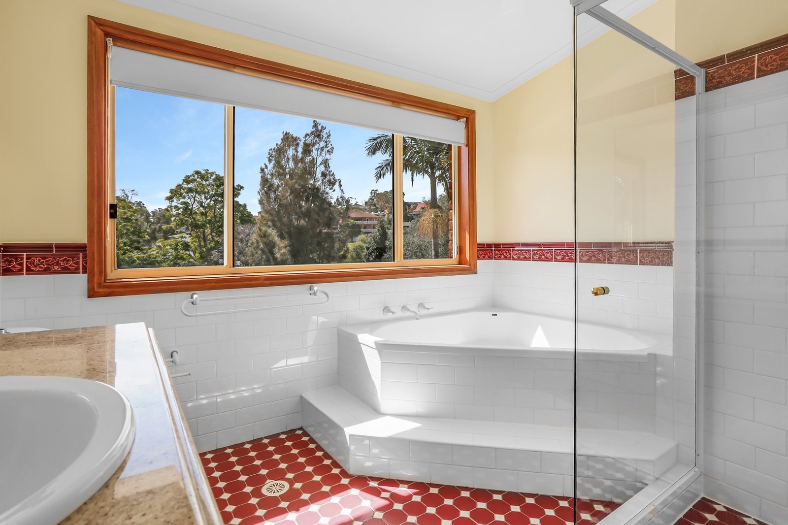 18 Colvin Place DAPTO 8