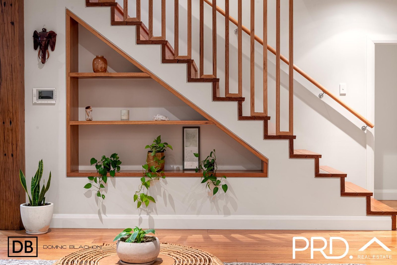 18 Enright Street EAST HILLS 5