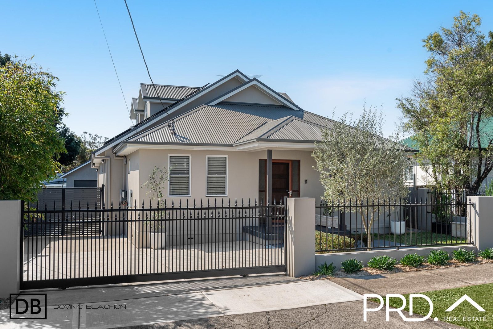 18 Enright Street EAST HILLS 13