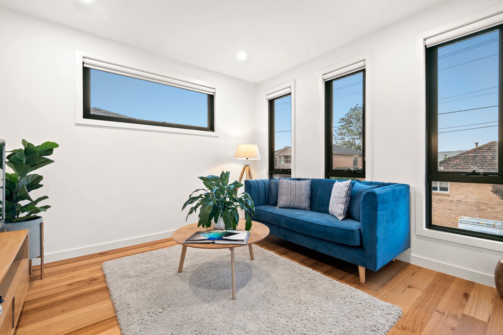 Gallery: 18 Enright Street