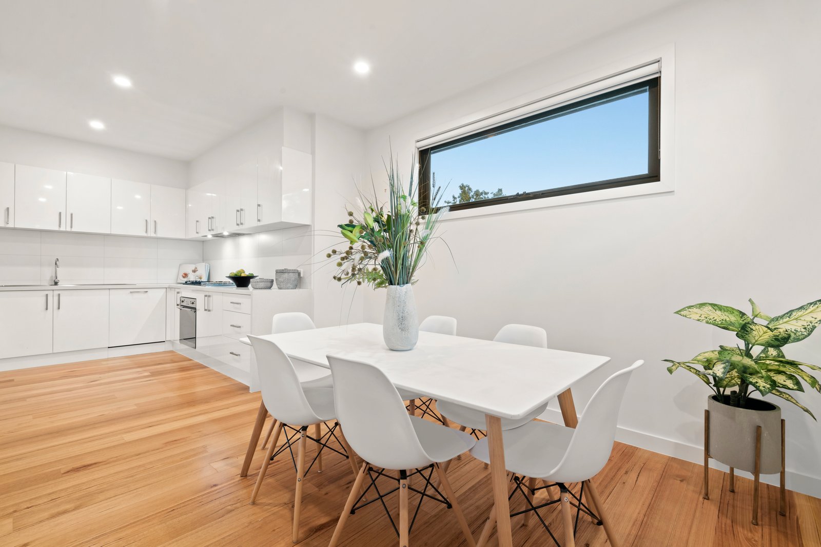 Gallery: 18 Enright Street