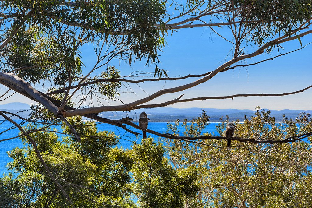 18 Gloucester Street NELSON BAY 19