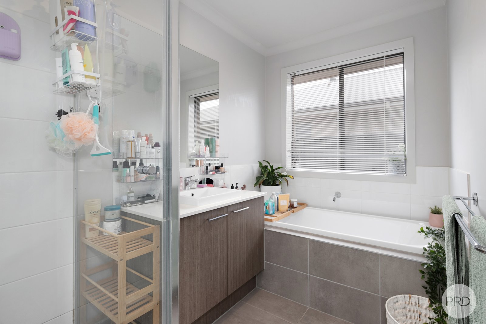 18 Grainger Parade LUCAS 12