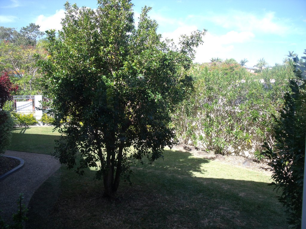 18 Hindmarsh Court ROBINA 14