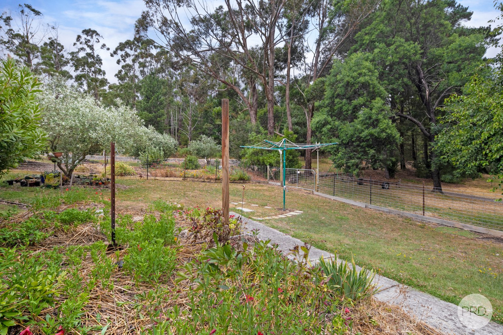 18 Hutchinson Street CRESWICK 21