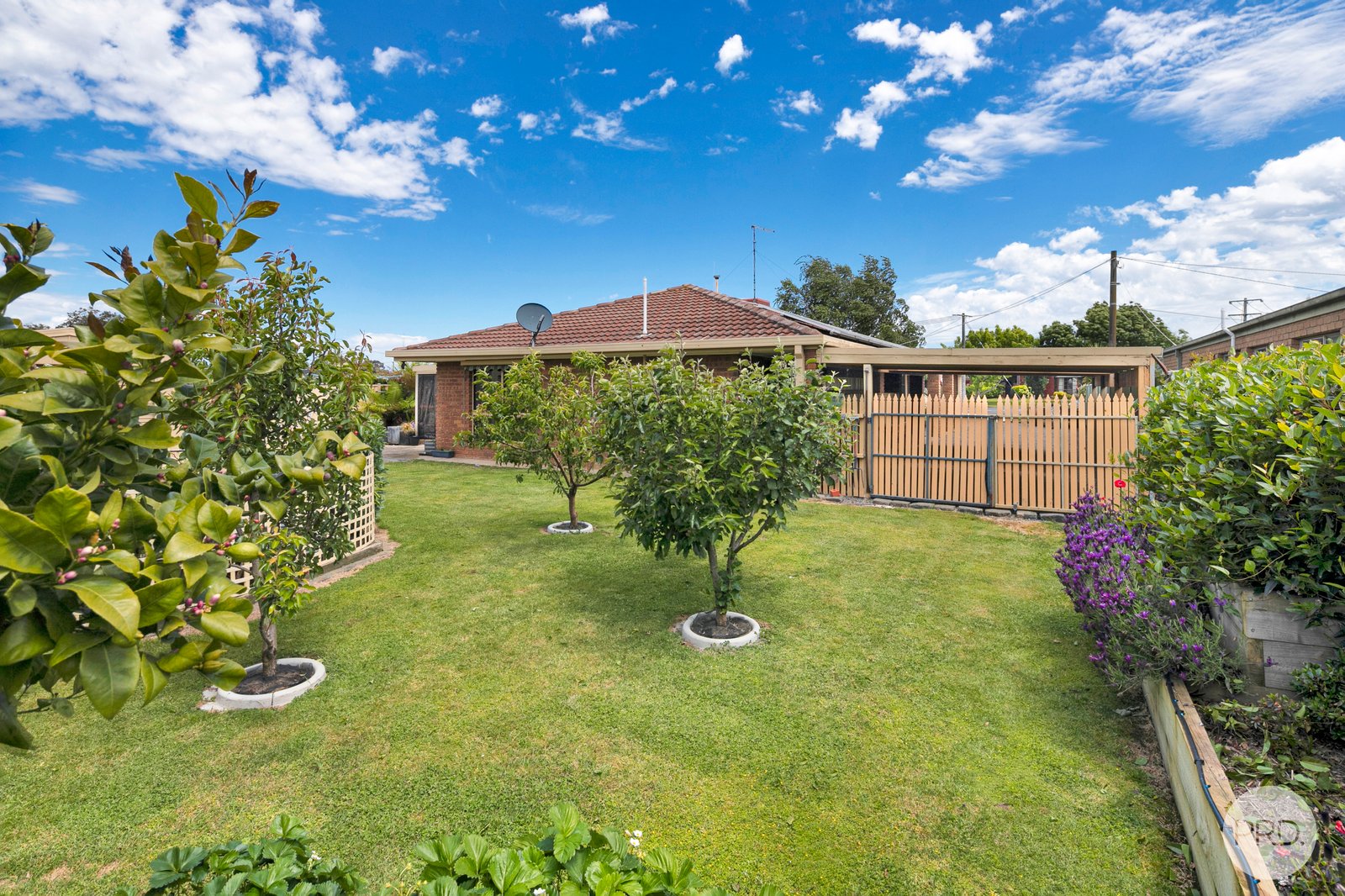 18 Jasmine Drive DELACOMBE 11