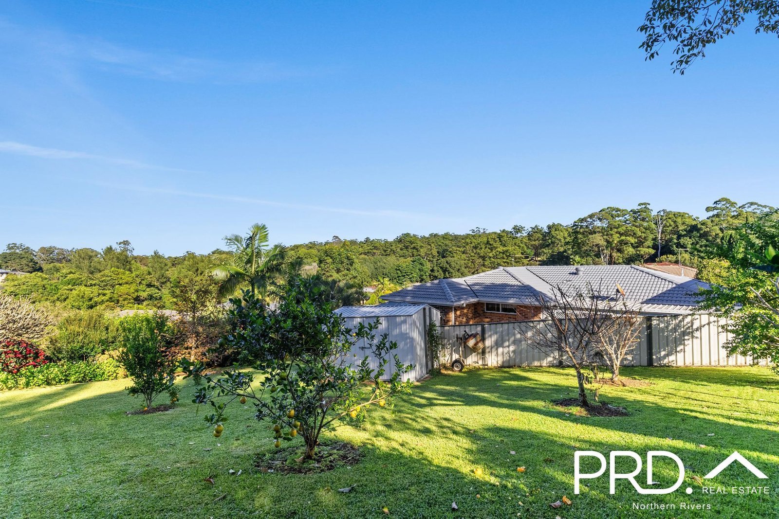 18 Joy Street GOONELLABAH 14