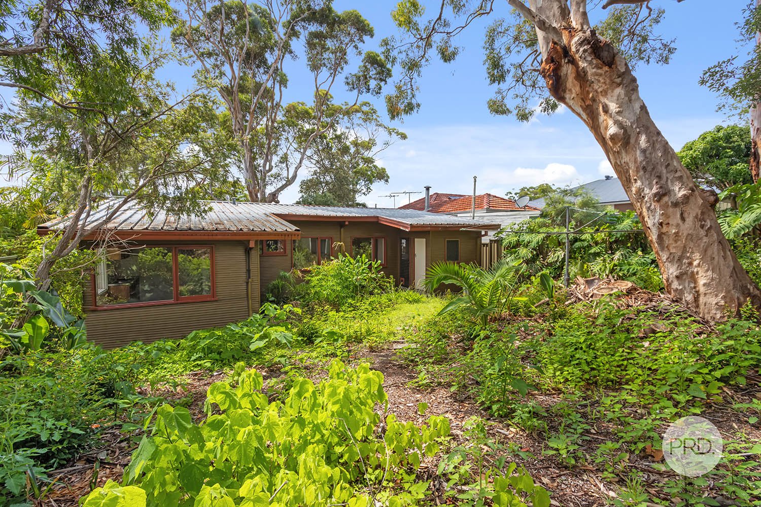 18 Koorabel Street LUGARNO 13