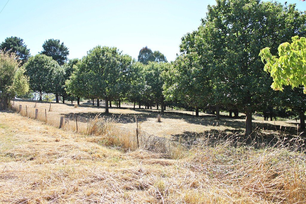 18 Mercury Lane TUMBARUMBA 1