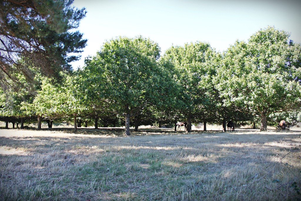 18 Mercury Lane TUMBARUMBA 3