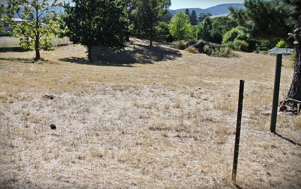 18 Mercury Lane TUMBARUMBA 4