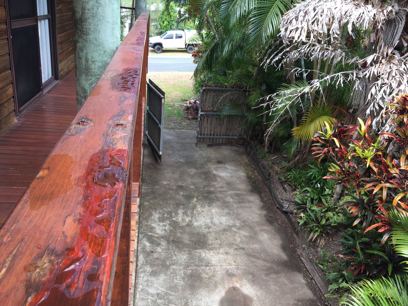 18 Moonlight Drive CANNONVALE 13