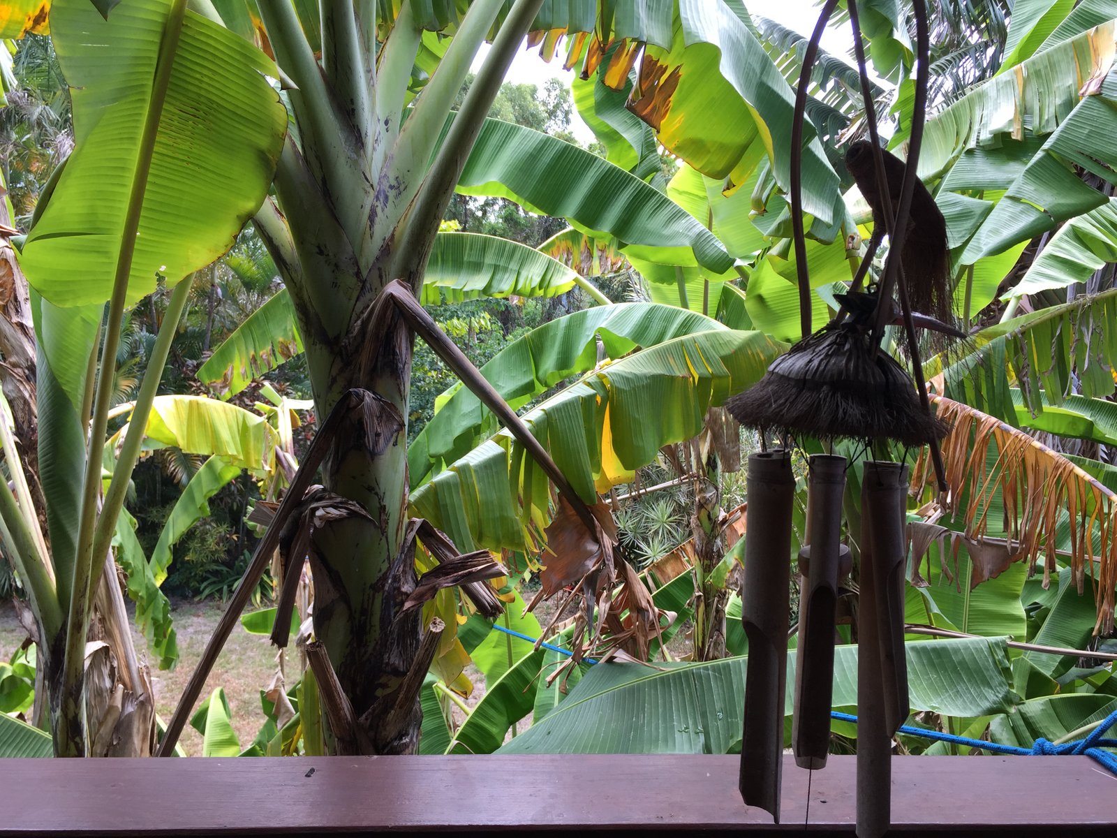 18 Moonlight Drive CANNONVALE 14