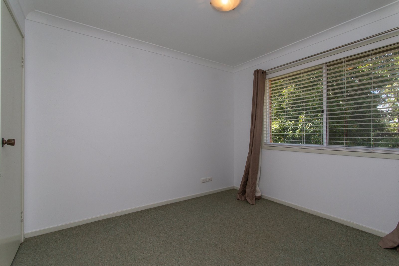 18 Murray Avenue Springwood 8