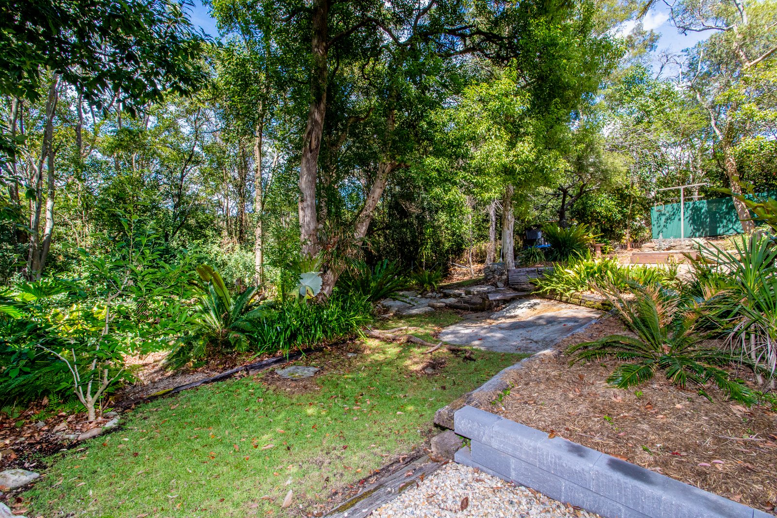 18 Murray Avenue Springwood 15