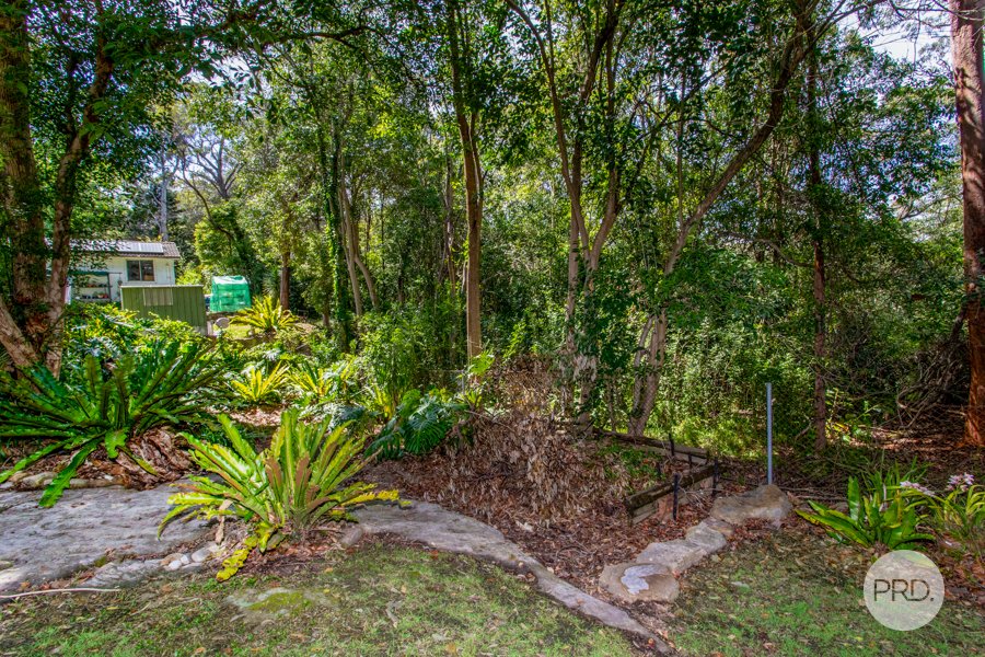 18 Murray Avenue SPRINGWOOD 23