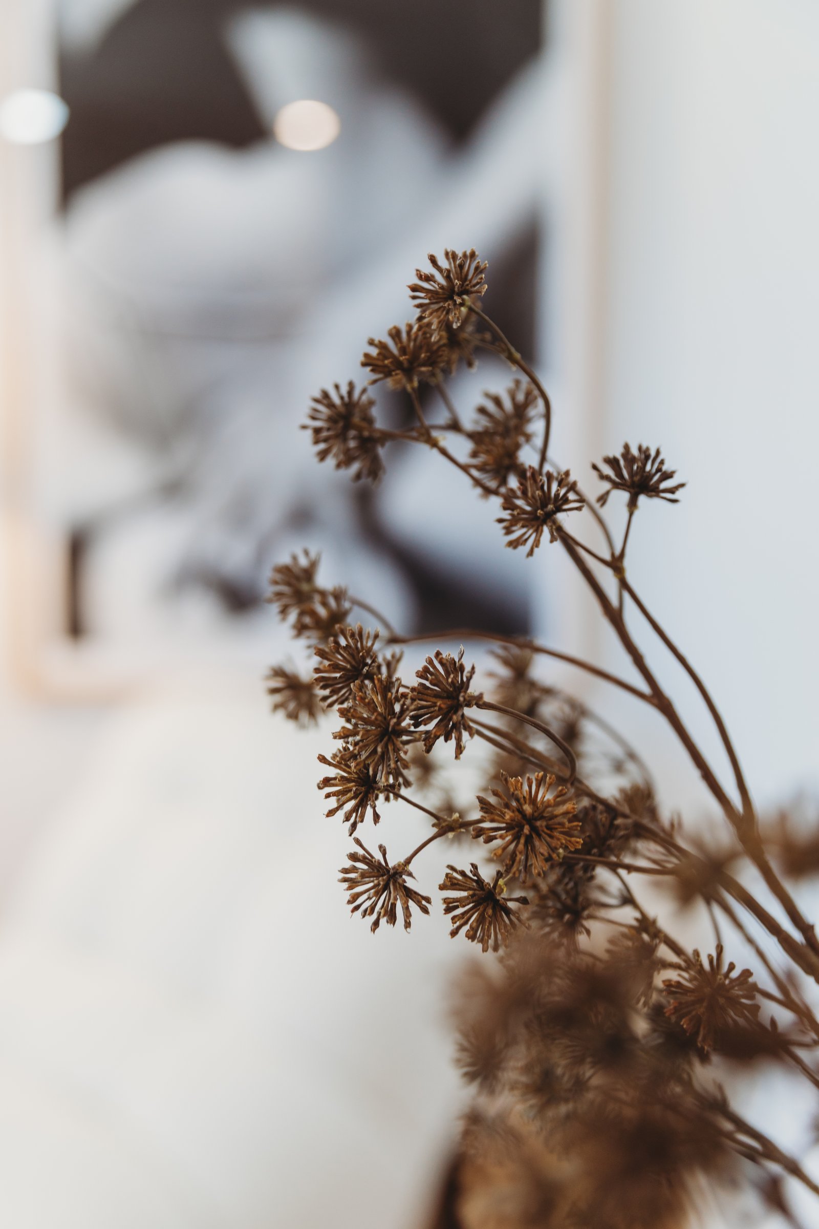 18 Randall Drive SALAMANDER BAY 24