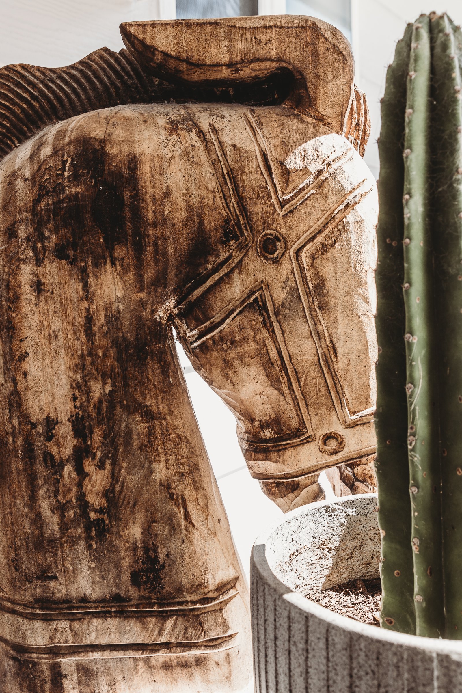 18 Randall Drive SALAMANDER BAY 32