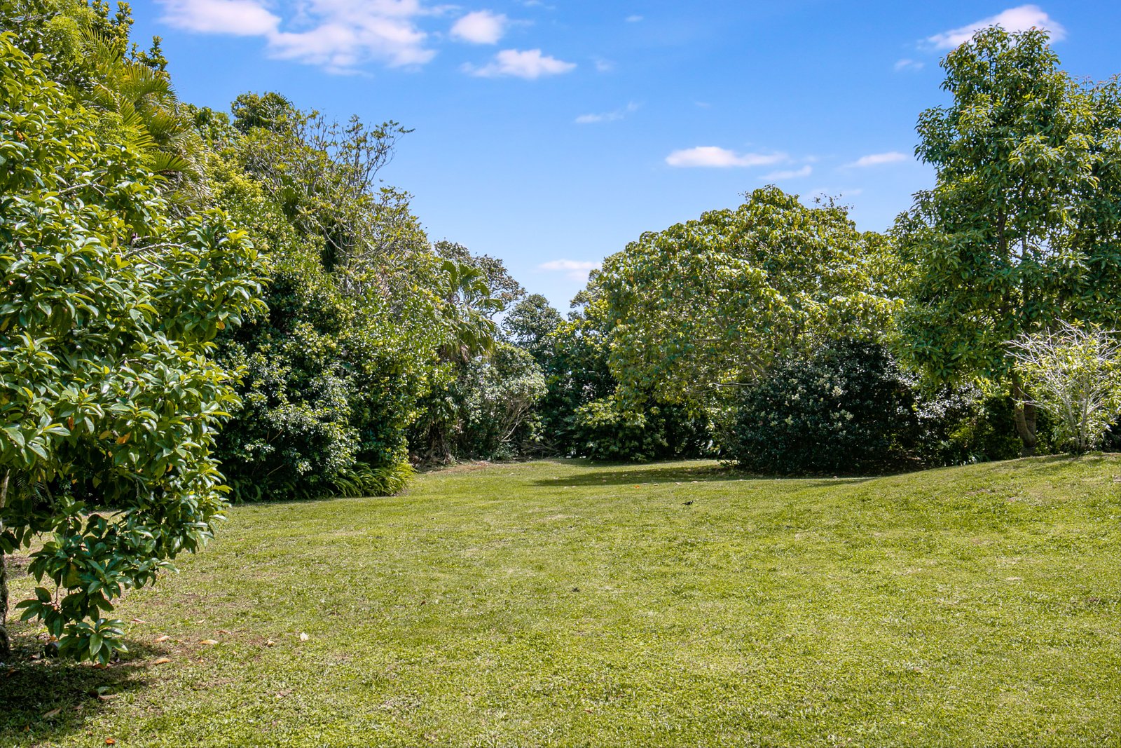 18 Shamara Road TERRANORA 26