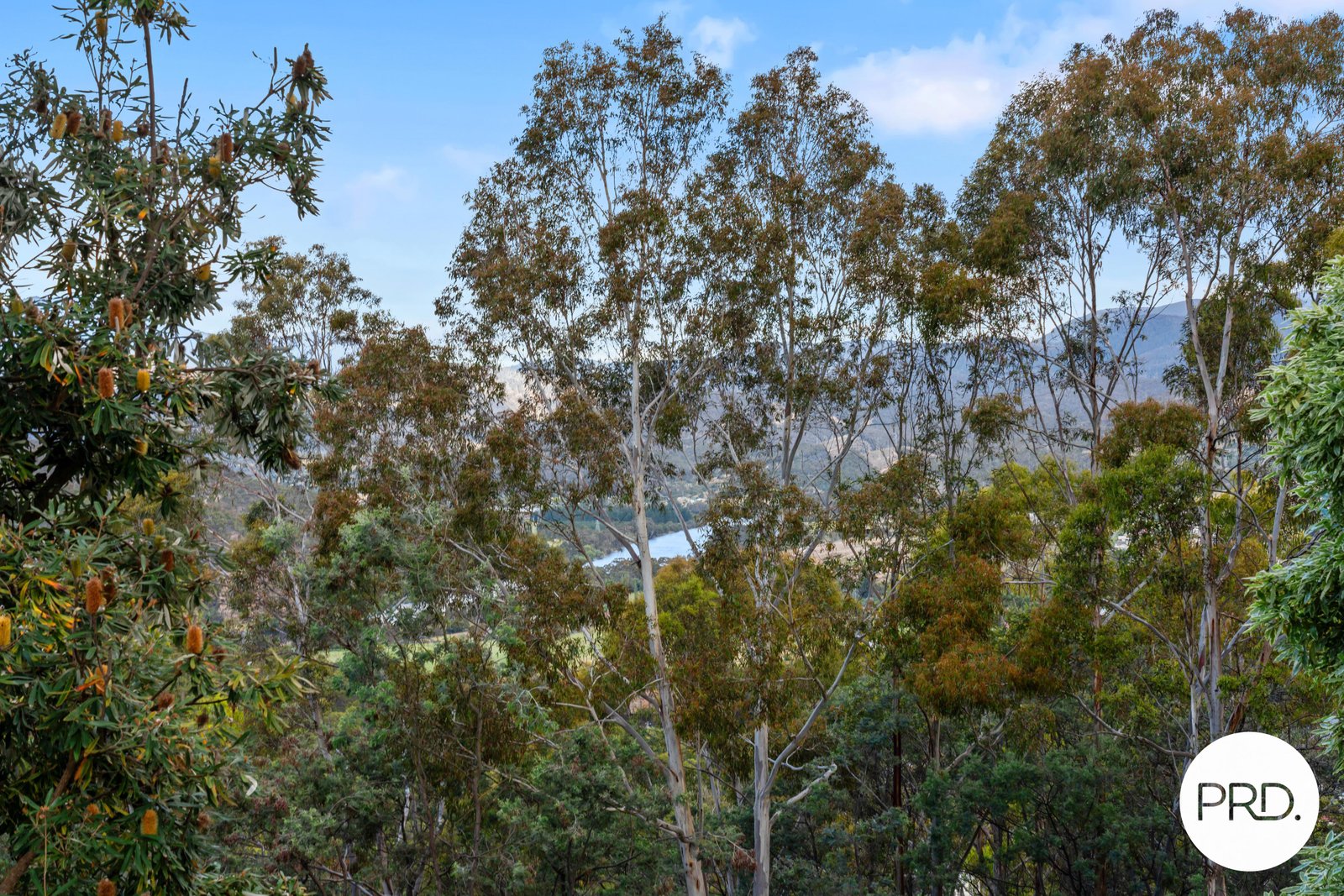 18 Shepherds Drive NEW NORFOLK 30