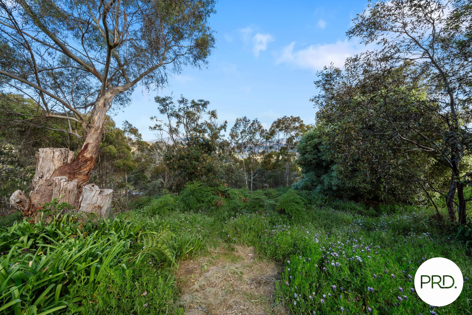 18 Shepherds Drive NEW NORFOLK 34