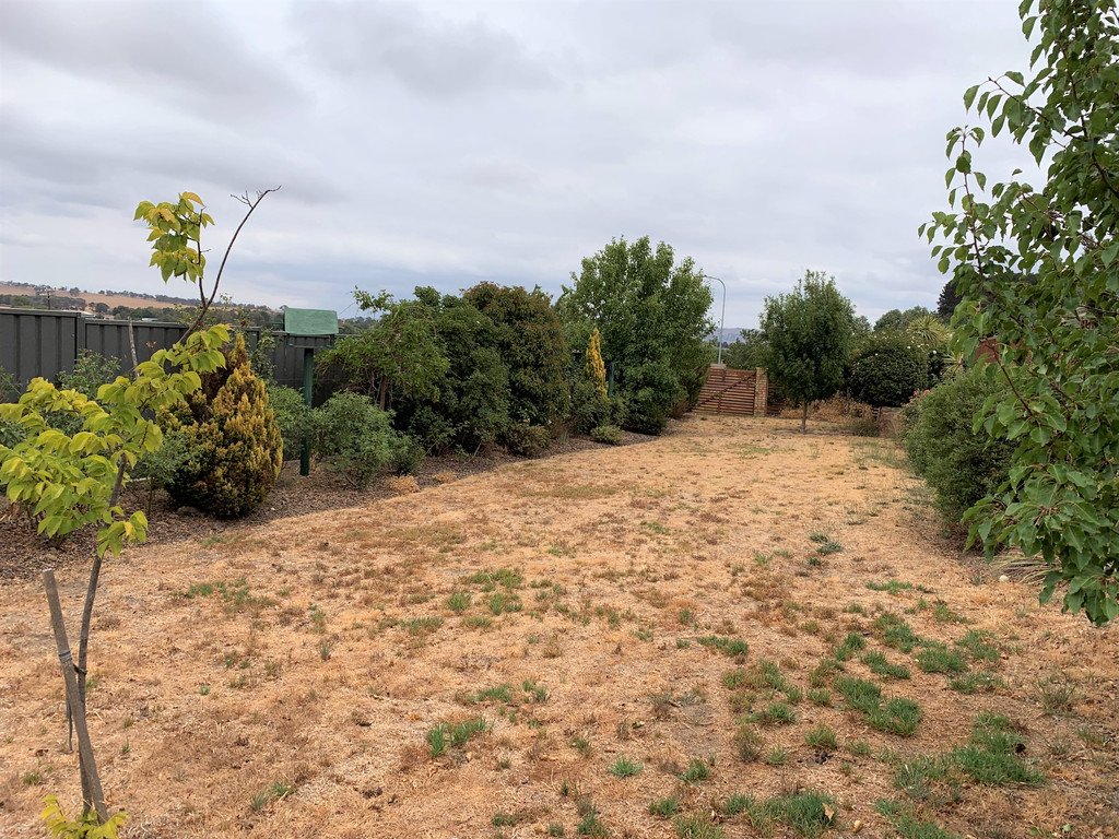 18 Simms Drive BUNGENDORE 16