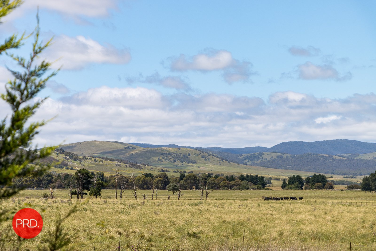 18 Simms Drive BUNGENDORE 23