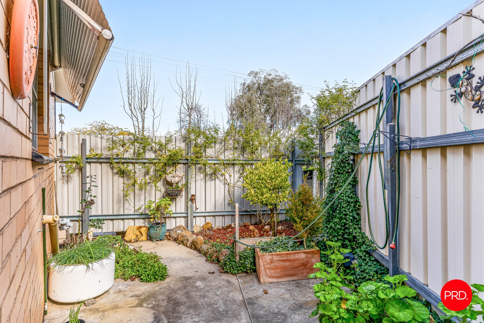 18 Speedy Street CALIFORNIA GULLY 17