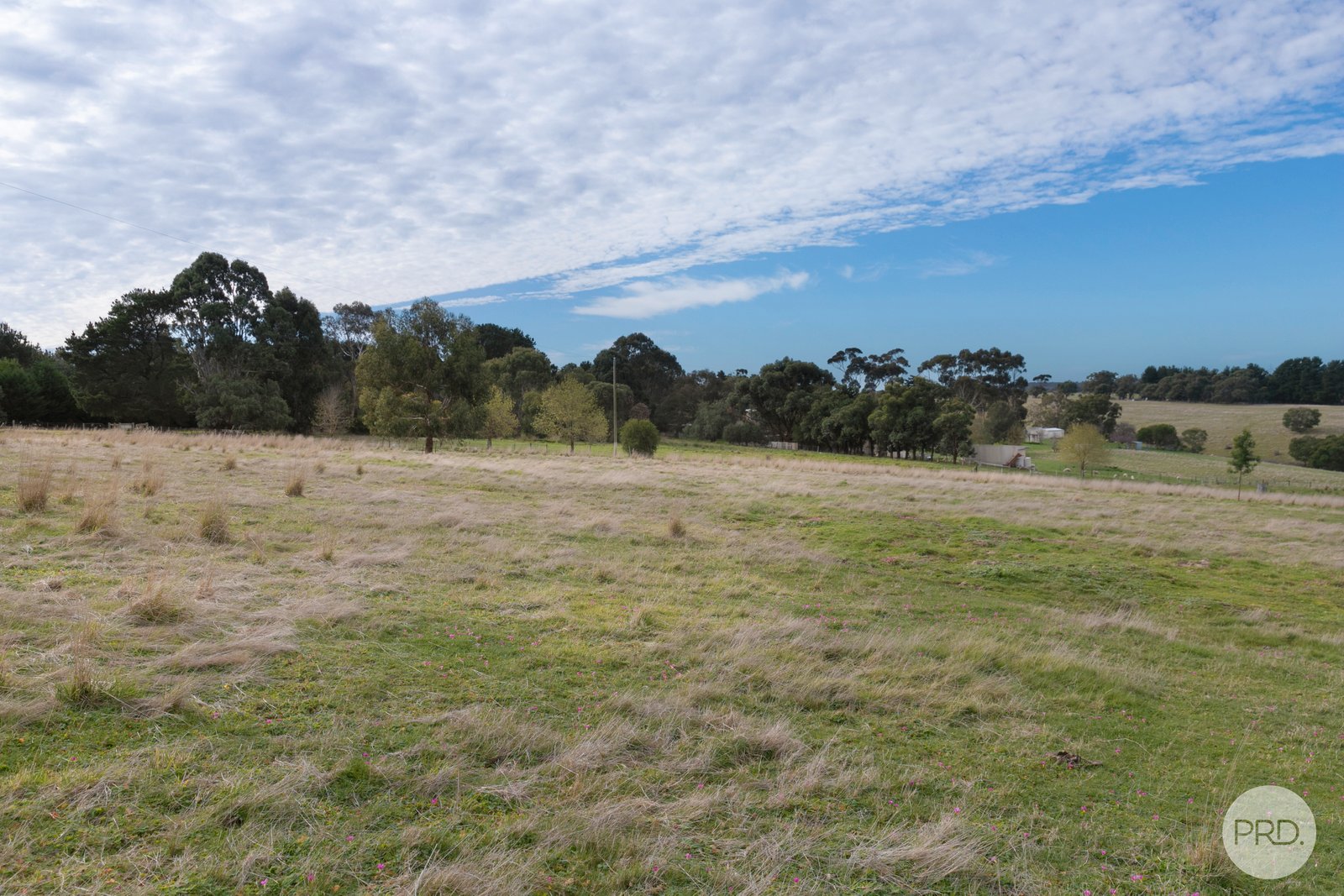 18 Springs Road CORINDHAP 7