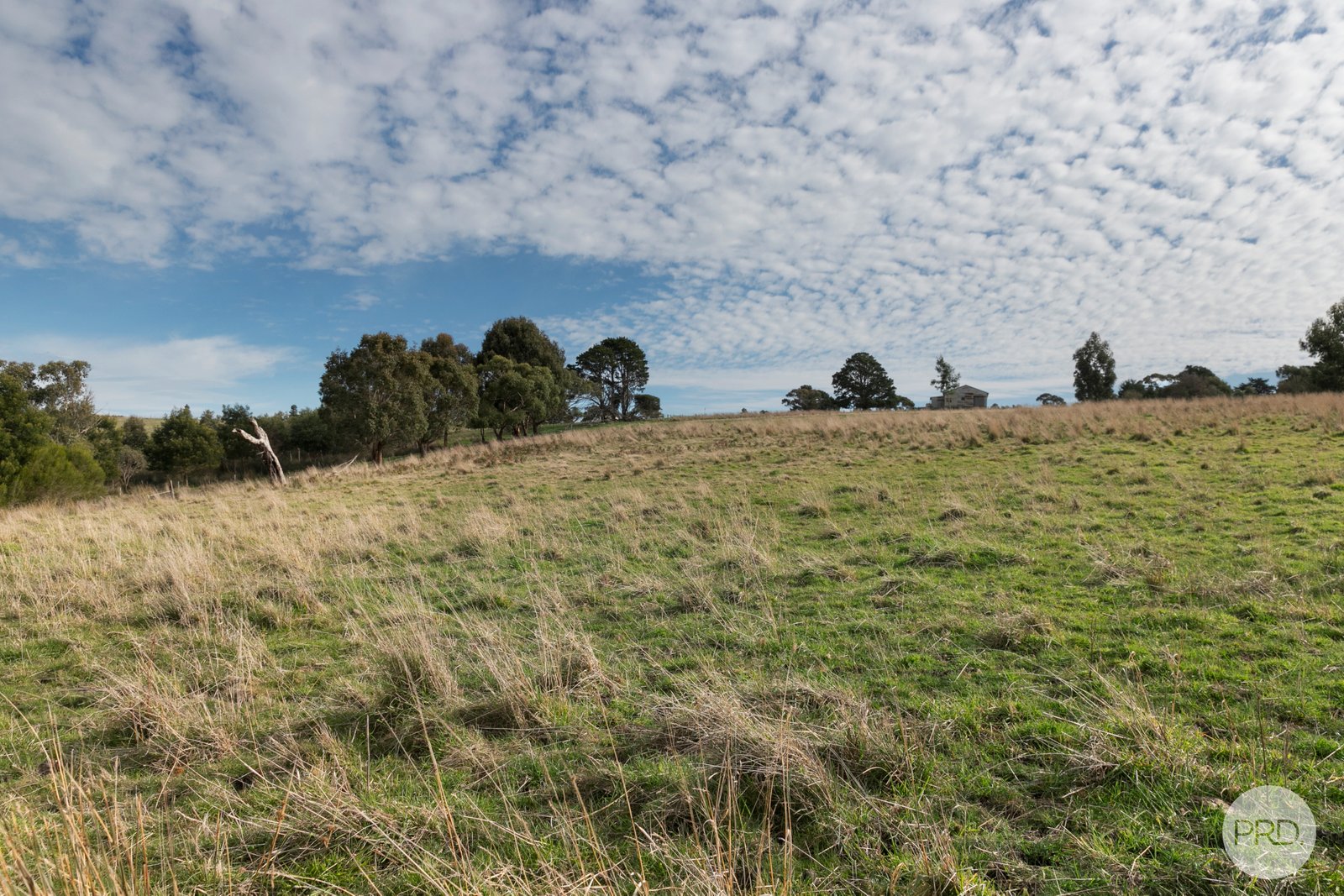 18 Springs Road CORINDHAP 8