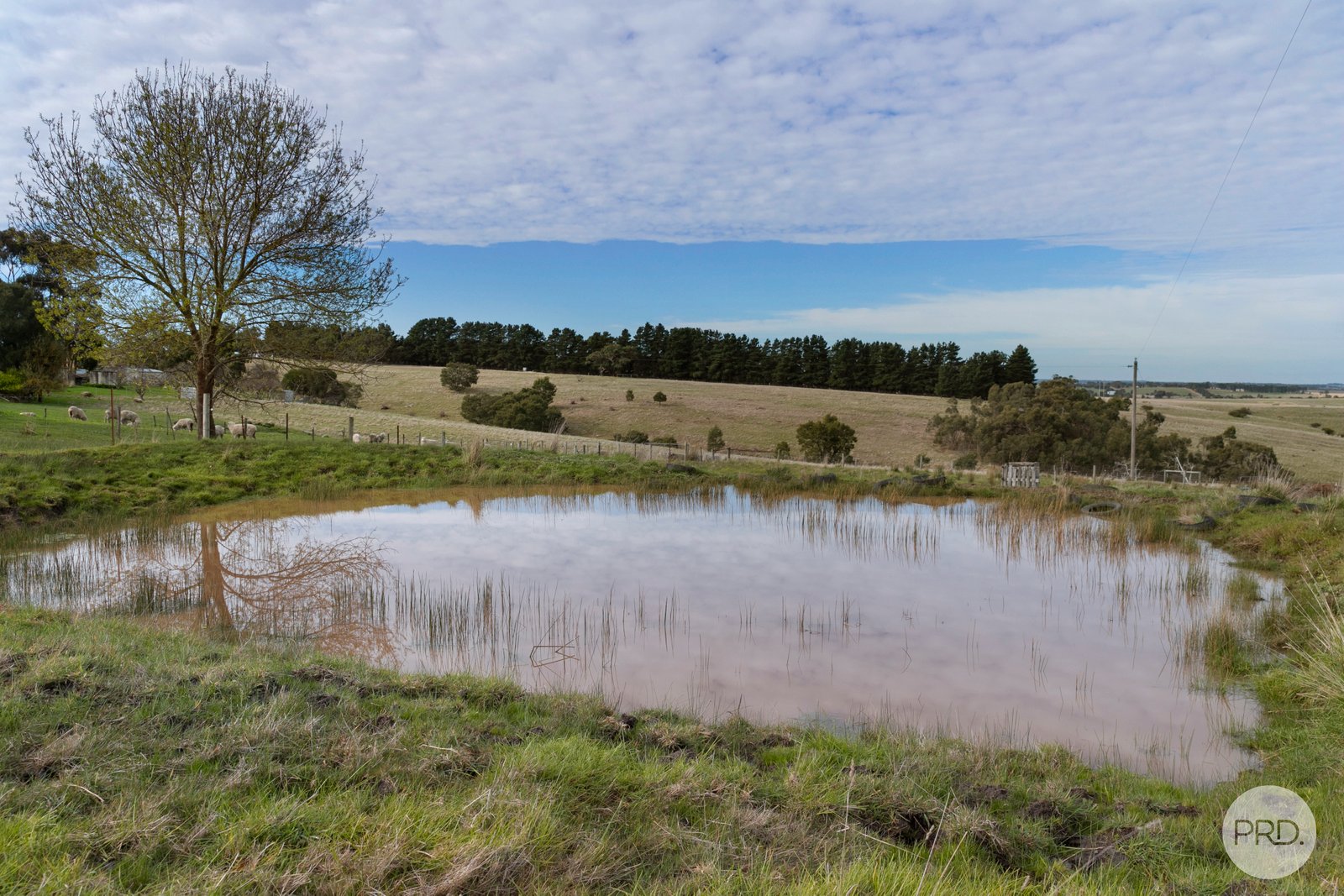 18 Springs Road CORINDHAP 9