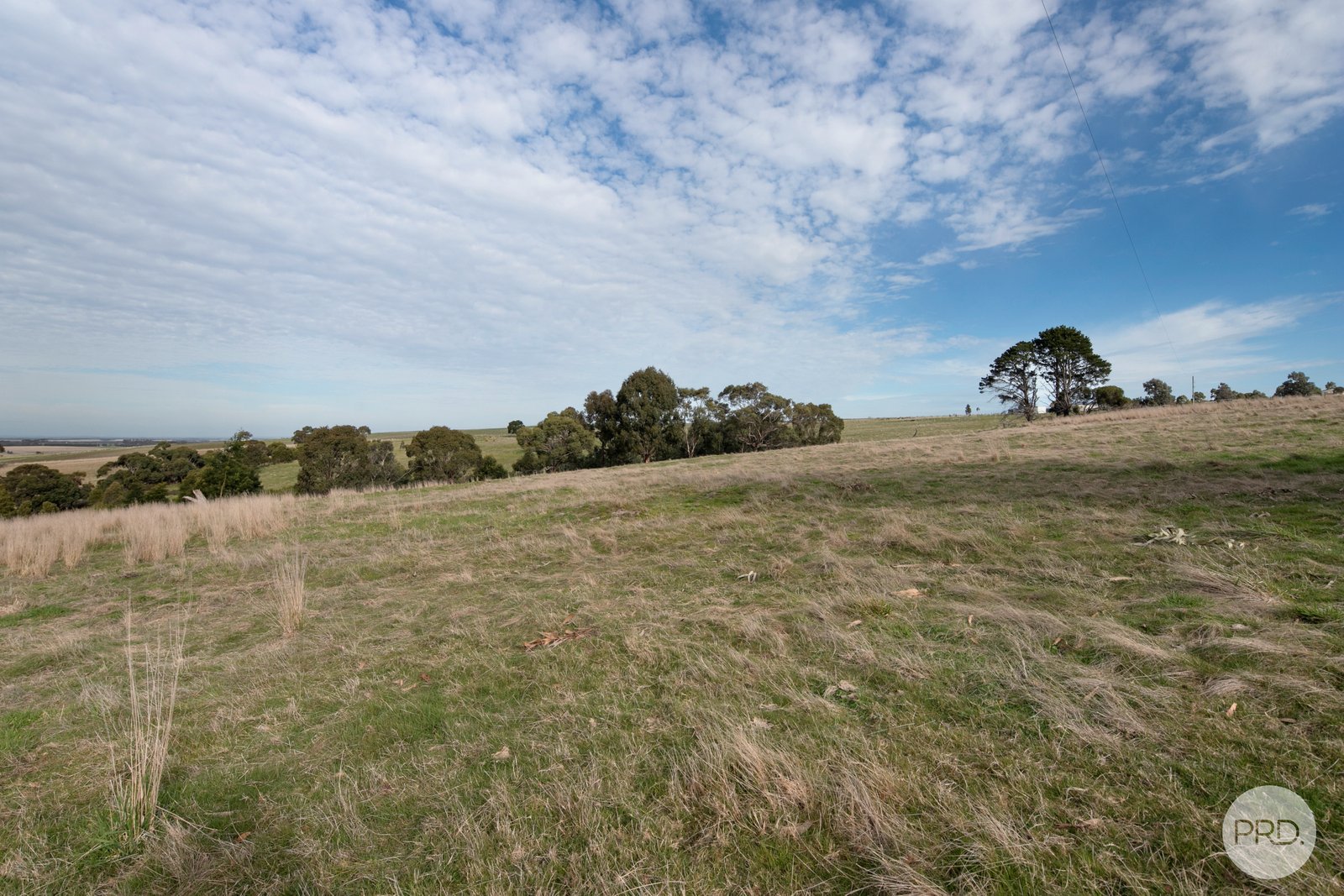 18 Springs Road CORINDHAP 10