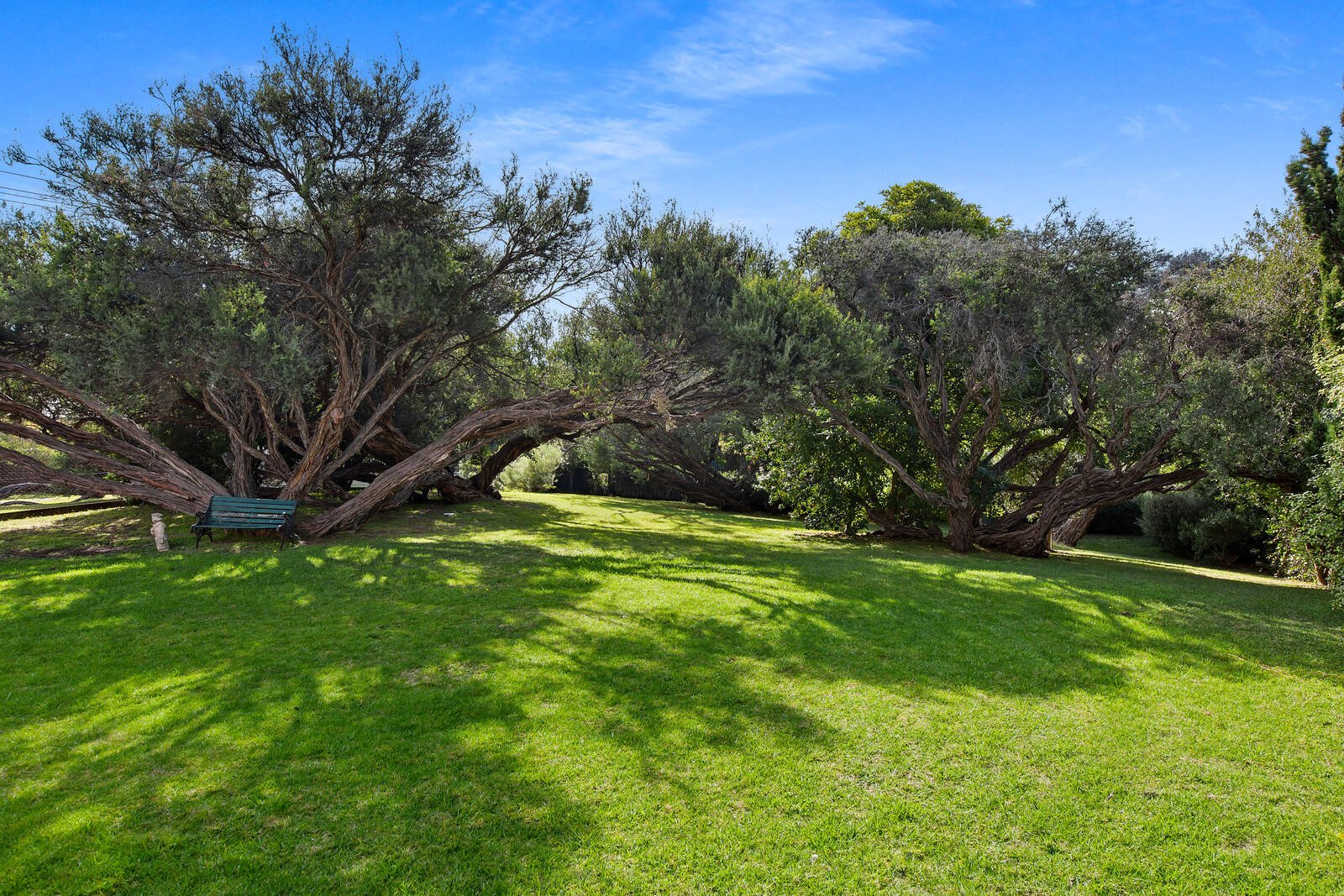Real Estate and Property in 18 Terry Avenue, Sorrento, VIC