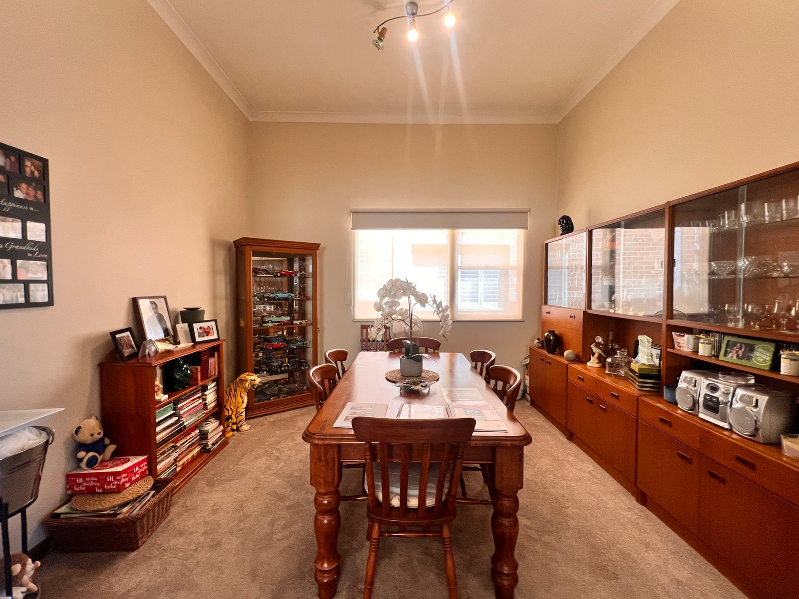 18 Trevelyan Street BOTANY 4