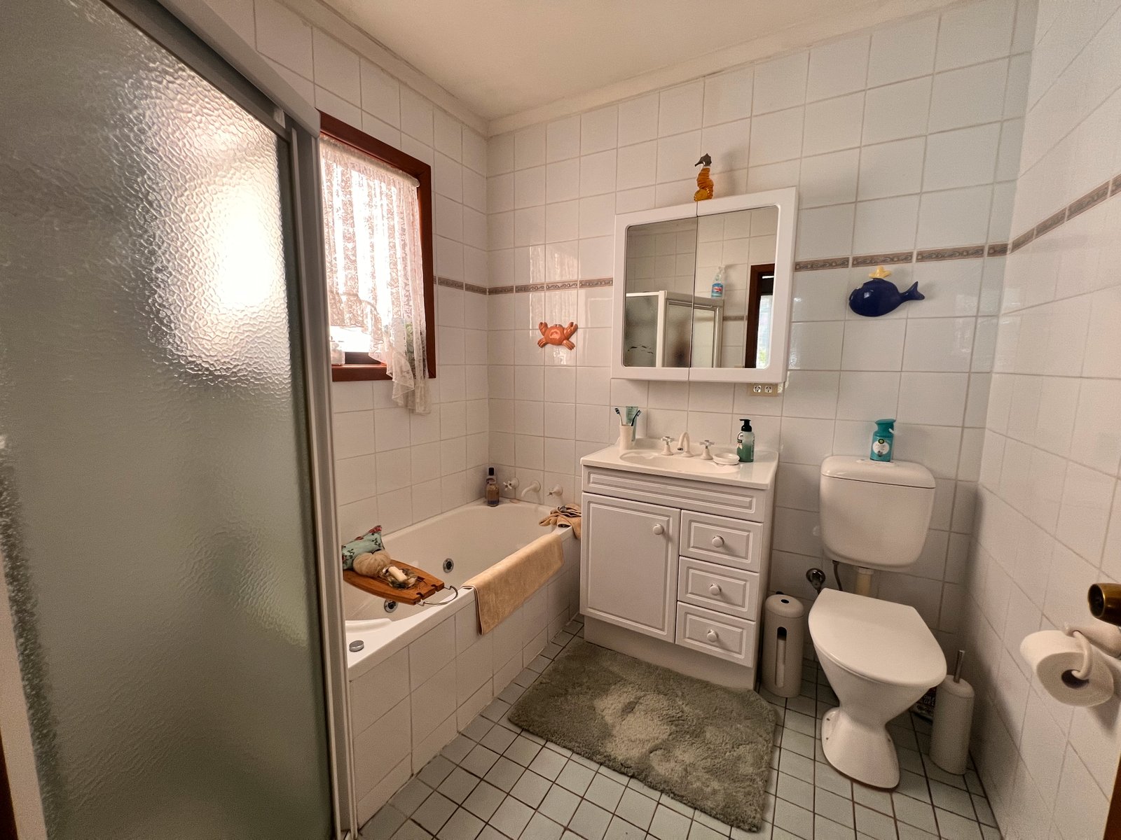 18 Trevelyan Street BOTANY 8