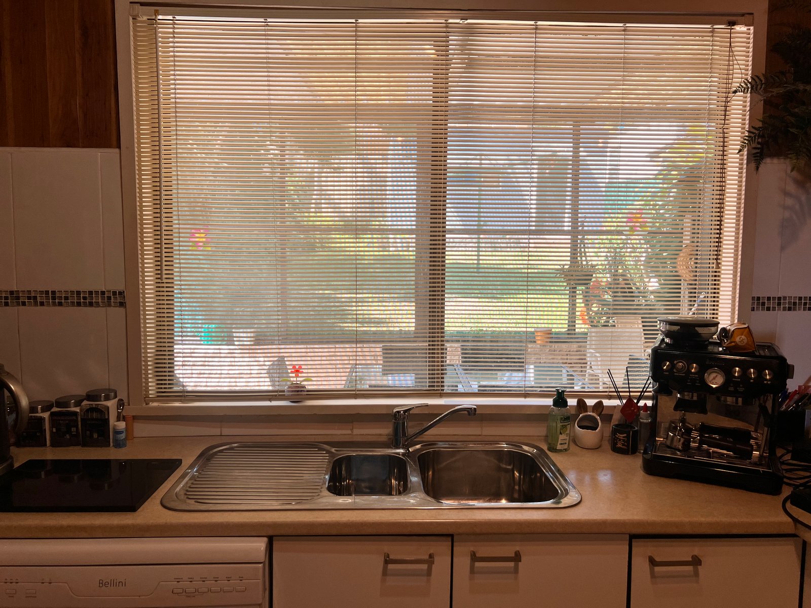 18 Trevelyan Street BOTANY 9