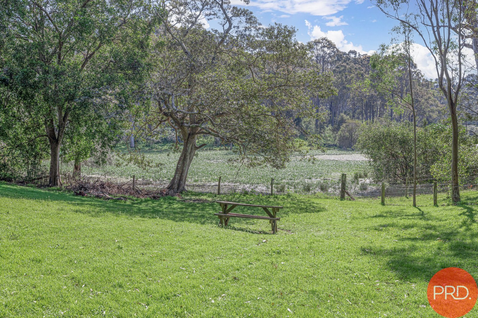 18 Walter Parade BLACK HILL 29