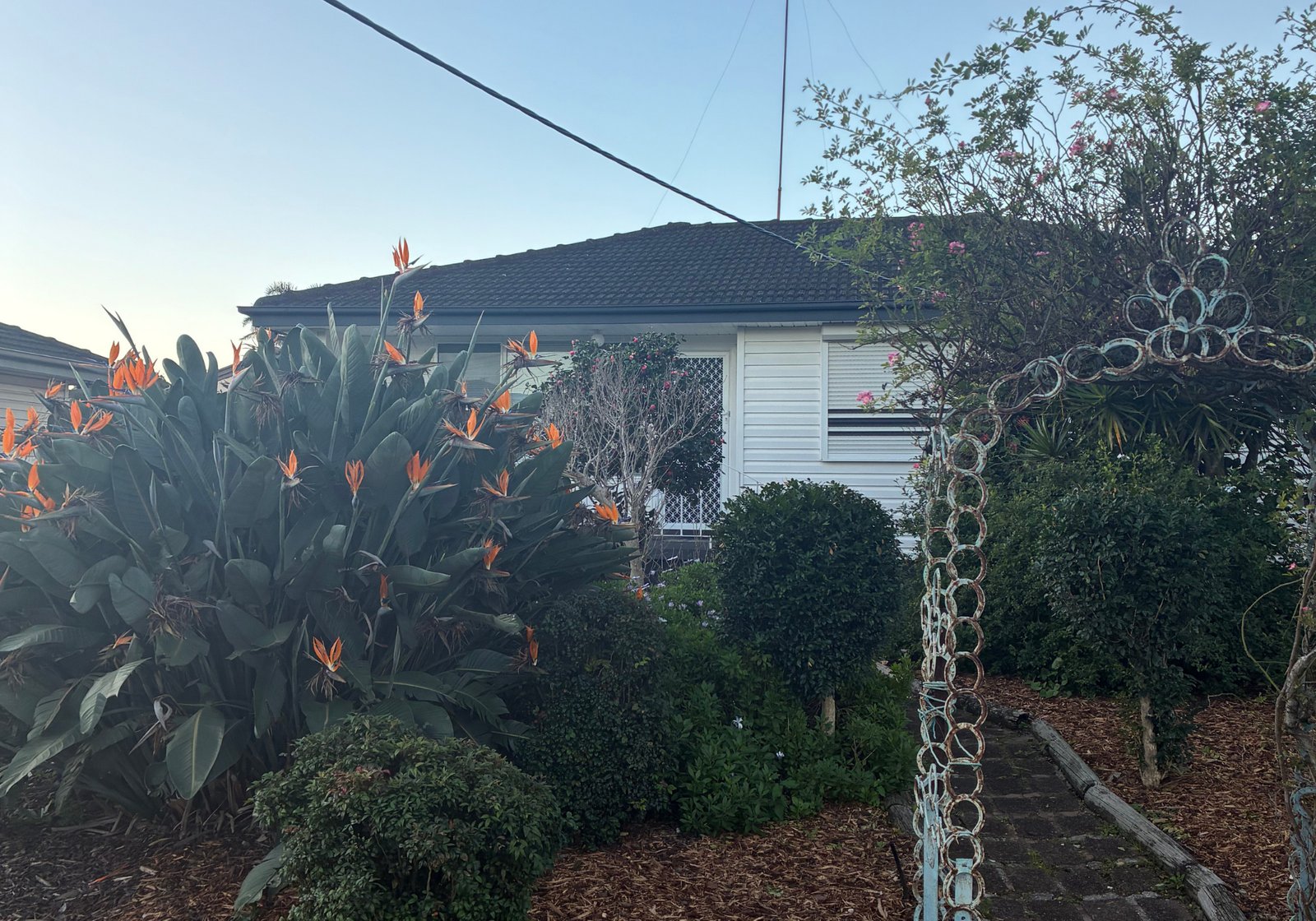 18 Weerona Street BERKELEY 1