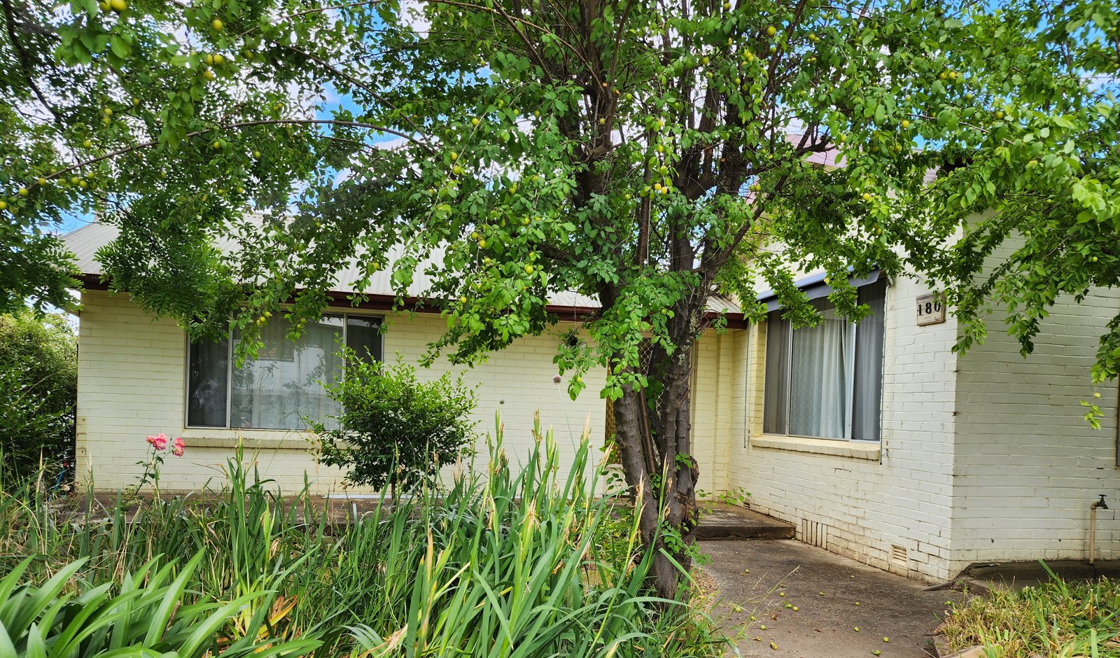 180 Adelong Road TUMUT 2