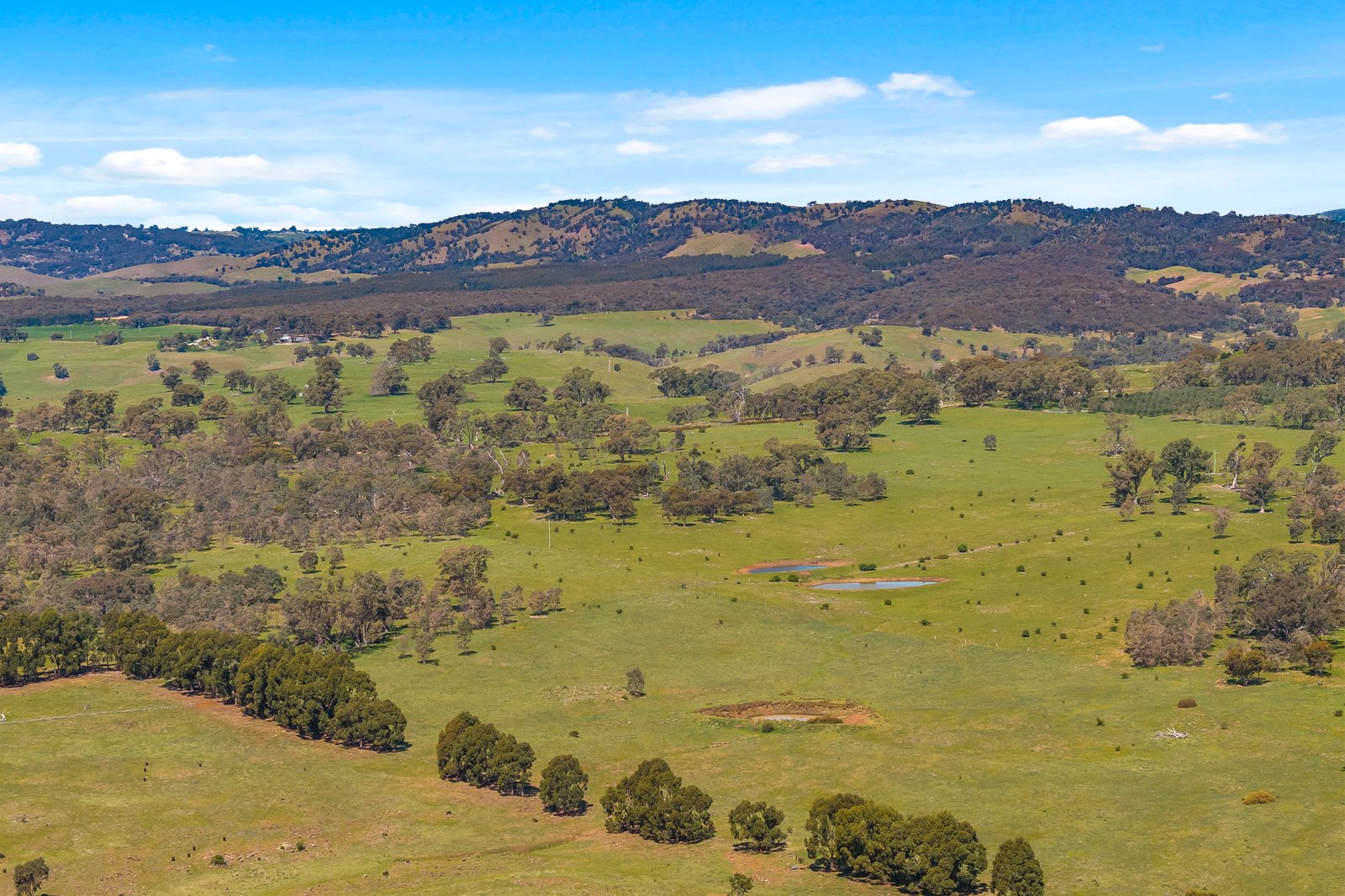 Real Estate and Property in 180 Buntings Lane, Glenhope, VIC