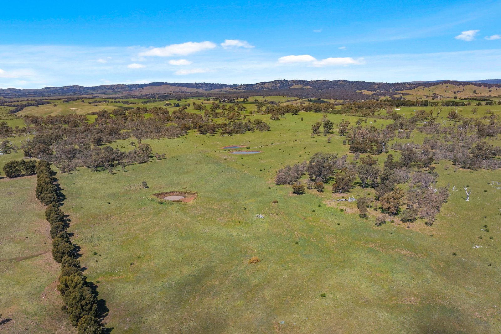 Real Estate and Property in 180 Buntings Lane, Glenhope, VIC