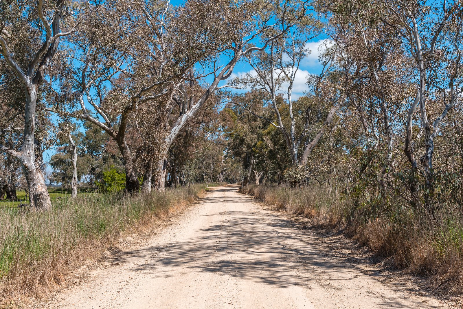 Real Estate and Property in 180 Buntings Lane, Glenhope, VIC