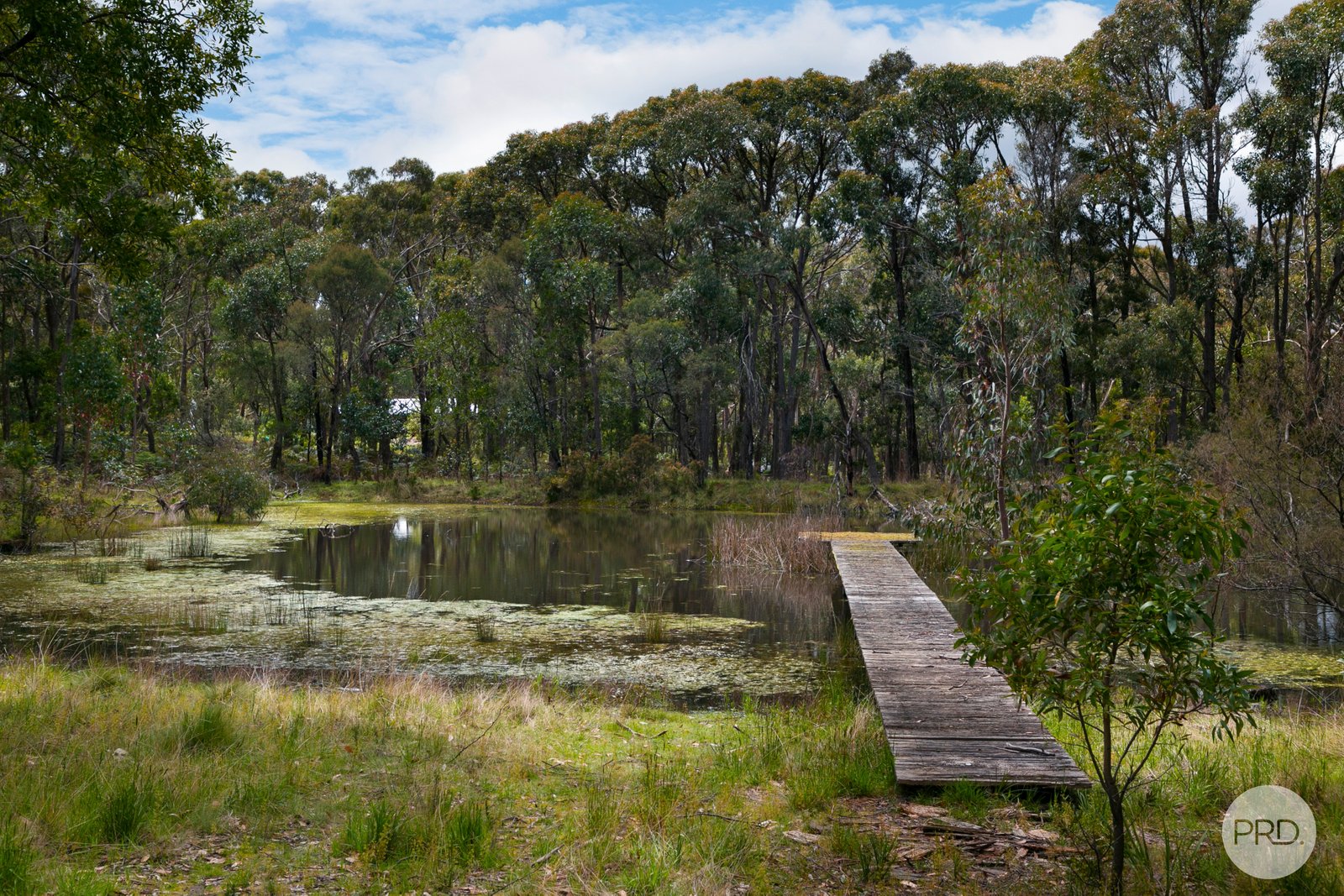 180 Coates Road SNAKE VALLEY 16