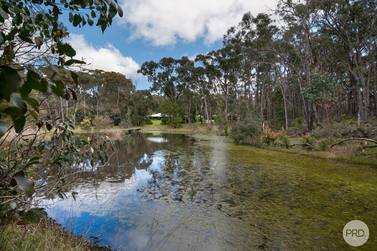 180 Coates Road SNAKE VALLEY 17