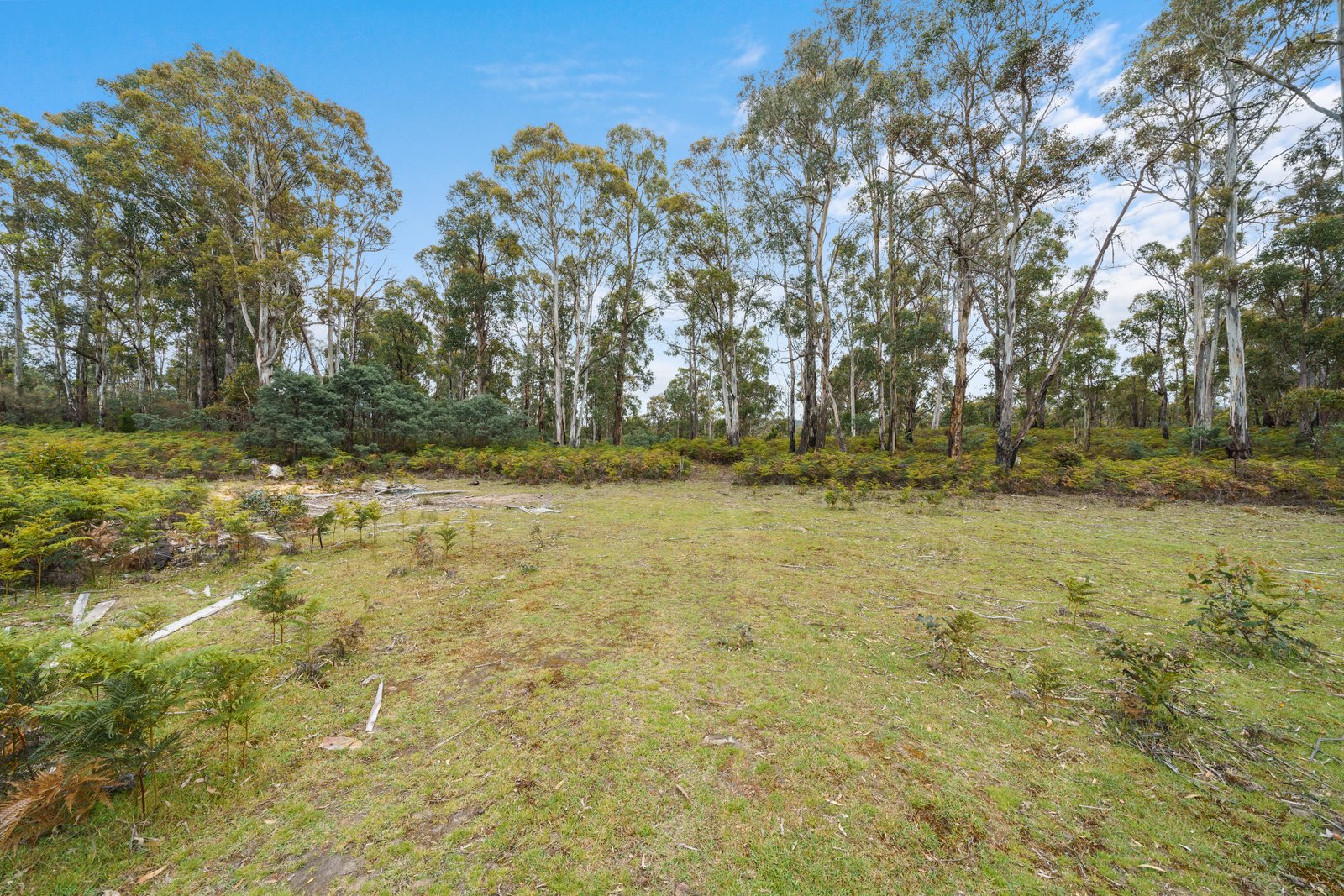 180 Pearces Road STRICKLAND 1
