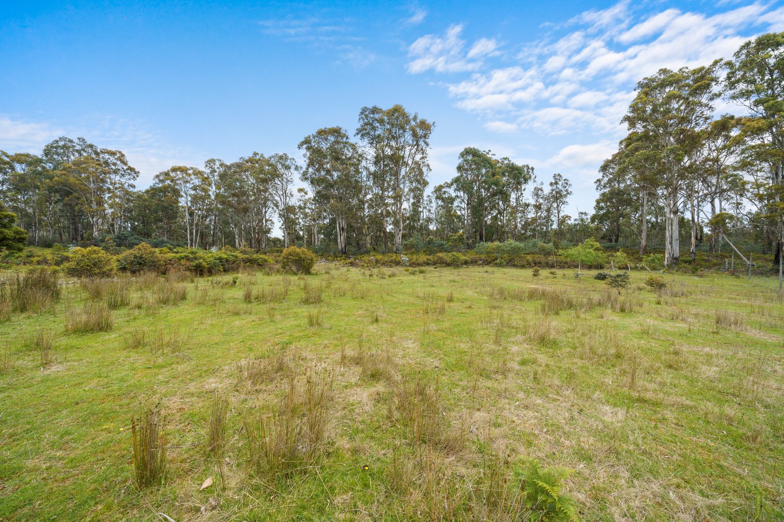 180 Pearces Road STRICKLAND 3
