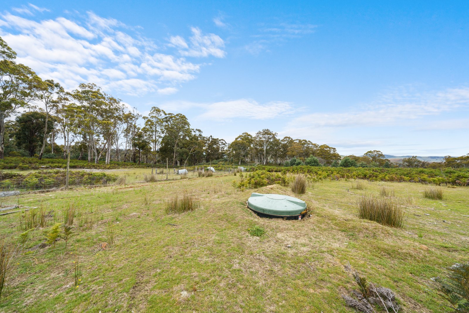 180 Pearces Road STRICKLAND 4