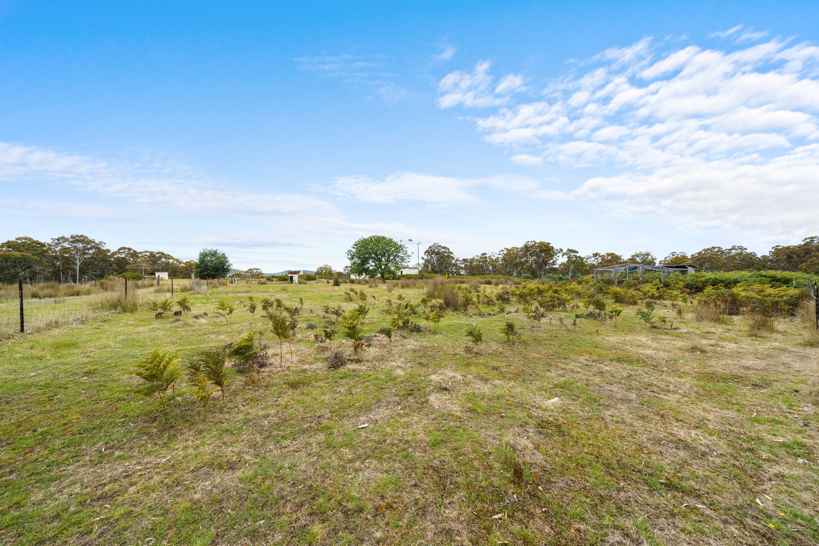 180 Pearces Road STRICKLAND 7